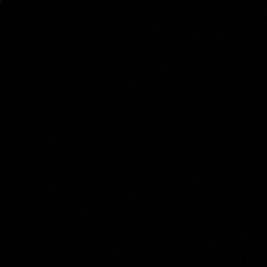 Meet your Posher, Alondra